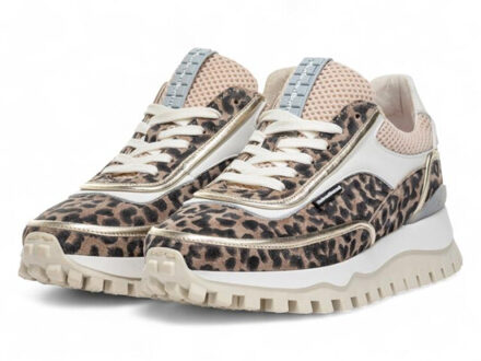 Floris van Bommel Sneakers sfw-10131 grommi Bruin - 37