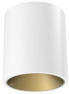 Flos Kap 80 Surface Opbouwspot - Wit Goud