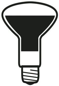 FLOS Lichtbron LED E27 12W 220-240V 27K R125 Wit