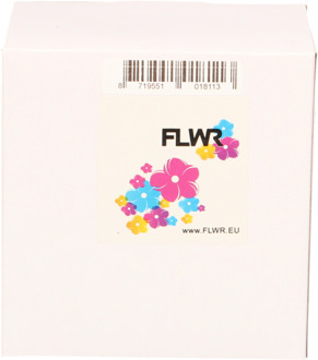 FLWR Brother DK-44205 62 mm x 30.48 M wit labels