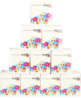 FLWR - Labelrol / 800264 / 10-pack 3000 labels / Wit - Geschikt voor Zebra