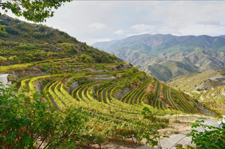 Fly-drive Couleur locale 11 dagen