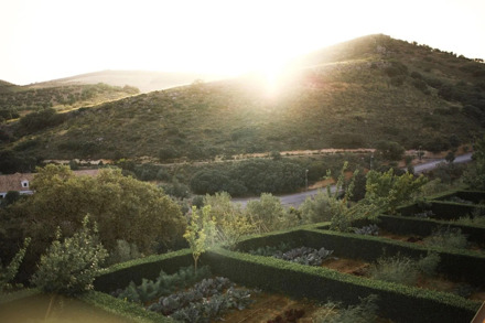 Fly-drive De Olijvenroute