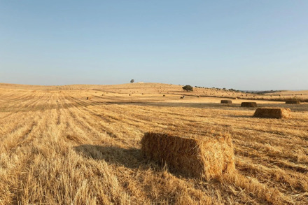 Fly-drive Portugal deluxe (hotels) 12 dagen