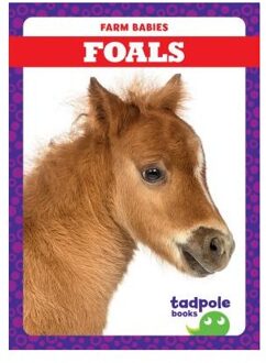 Foals