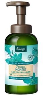 Foaming Body Wash Peaceful Moment 450g
