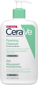 Foaming Cleanser ( normální až mastná pleť ) (L)