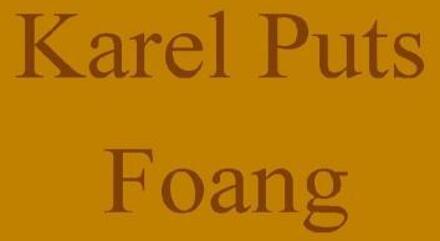 Foang -  Karel Puts (ISBN: 9789465209005)