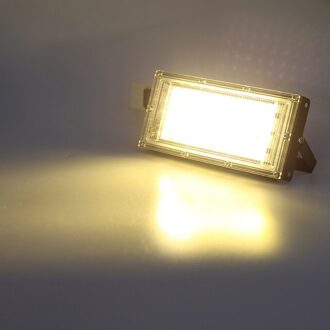 Foco Led-schijnwerper Outdoor Ac 220V 50W Real Power Led Straat Lamp Led Spotlight Kas Groeien Overstroming Licht ip65 Waterdicht warm wit