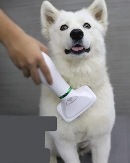 Föhn Föhn Voor Honden Föhn Hond Grooming Föhn Voor Huisdier Droger Föhn Grooming Voor honden Hond Droger EU plug