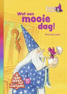 Foeksia de miniheks - Wat een mooie dag! -  Paul van Loon (ISBN: 9789048750368)