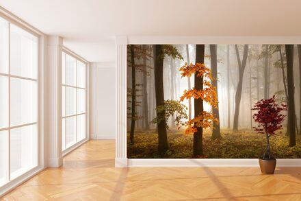 Foggy Autumn Forest - 4 delig - 368 x 254 cm - Multi