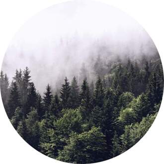 Foggy Forest Vlies Fotobehang 140x140cm Rond