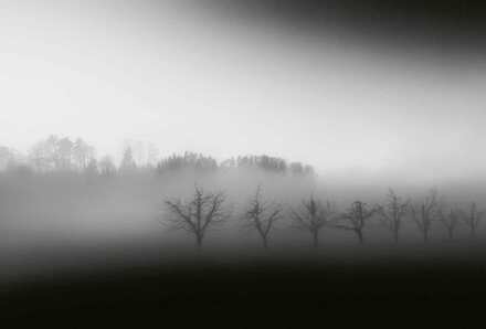 Foggy Landscape Vlies Fotobehang 384x260cm 8-banen