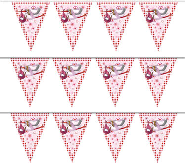 Folat Geboorte vlaggen slinger - 3x - geboorte meisje - 6 mtr - versiering