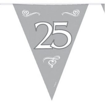 Folat Jubileum vlaggenlijnen - zilver - 6 meter - 25 jaar thema - feestartikelen