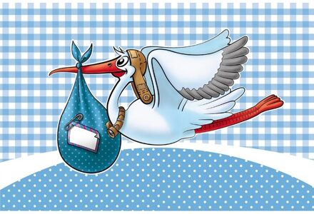 Folat Raamvlag geboorte jongen - blauw - 60 x 90 cm - polyester - kraamversiering - feestartikelen Multi