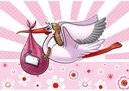 Folat Roze meisje geboren feest vlag voor binnen en buiten - Feestdecoratievoorwerp