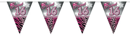 Folat Sweet 16 Sixteen vlaggenlijn slinger - plastic - 10 meter - versiering - roze/zilver