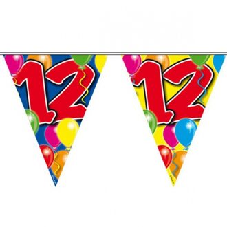 Folat Verjaardagsfeest vlaggen - 12 jaar - Leeftijd vlaggenlijn - kunststof - 10 meter Multi