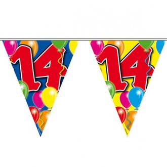 Folat Vlaggenlijn 14 jaar - 10 meter - plastic - leeftijd versiering - vlaggetjes Multi