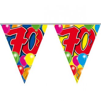 Folat Vlaggenlijn 70 jaar 10 meter - Vlaggenlijnen Multikleur