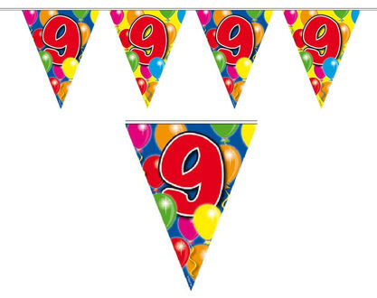 Folat Vlaggenlijn 9 jaar 10 meter - Vlaggenlijnen Multikleur