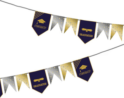 Folat Vlaggenlijn geslaagd thema - 6 meter - goud/zilver - papier - diploma examenfeest hangdecoratie Multi