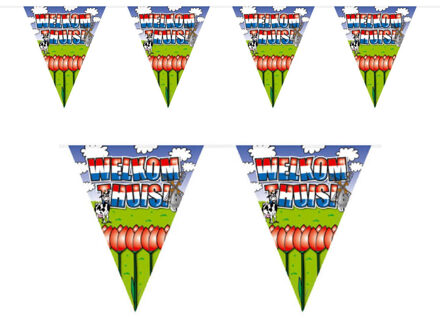 Folat Vlaggenlijn welkom thuis - 10 meter - plastic - binnen/buiten - versiering -feestartikelen Multi