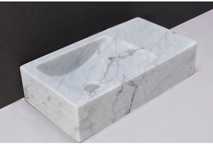 Fontein Forzalaqua Venetia Carrara Gepolijst Zonder Kraangat 40x22x10 cm Grijs/Wit