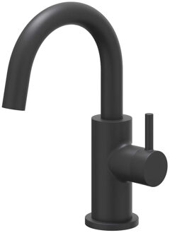 Fonteinkraan IVY Bond Staand Draaibare Uitloop Mat Zwart PED