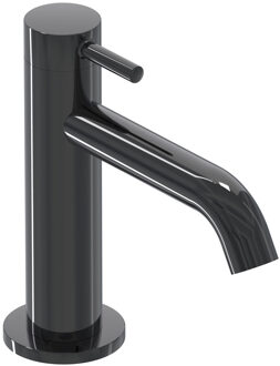 Fonteinkraan IVY Bond Staand Model S Zwart Chroom PVD