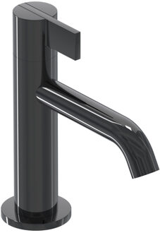 Fonteinkraan IVY Pact Staand Model S Zwart Chroom PVD