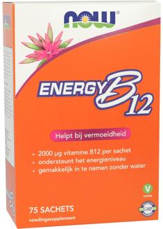 Foods - Instant Energy B-12 2000 μg - Bevat Verschillende B-Vitamines - 75 Zakjes