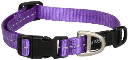 For Dogz Halsband Honden Nitelife 20-32 Cm Nylon Paars