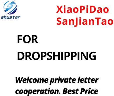 FOR Dropshipping .Welcome private letter cooperation. Best Price-RENA YAMAMOTO-XiaoPiSanJianTao