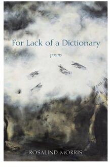 For Lack Of A Dictionary - Rosalind Morris
