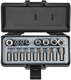 Force 1/4", 3/8" & 5/16" Bit- en Doppenset Torx 17 delig 3171