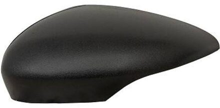 Ford Afdekking, buitenspiegel 1405029