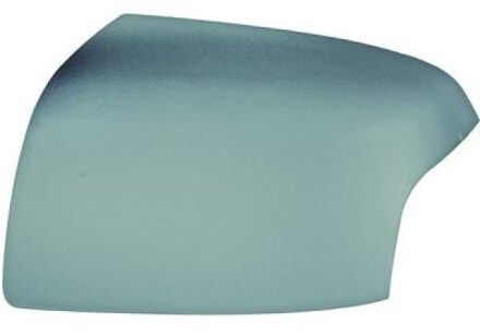Ford Afdekking, buitenspiegel 1416327