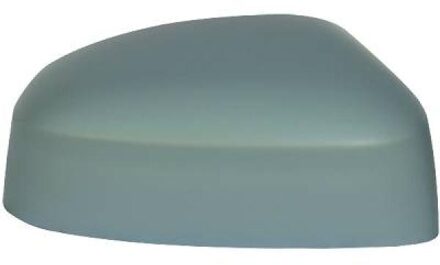 Ford Afdekking, buitenspiegel 1418028