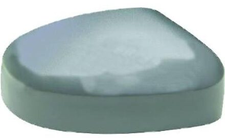 Ford Afdekking, buitenspiegel 1428128