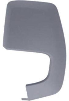 Ford Afdekking, buitenspiegel 1456229