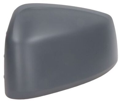 Ford Afdekking, buitenspiegel 5402012381322P