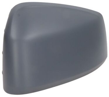 Ford Afdekking, buitenspiegel 5402012381324P