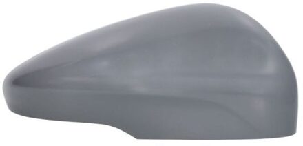 Ford Afdekking, buitenspiegel 6103032152311P