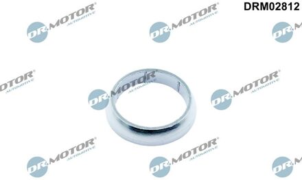 Ford Afdichtring, uitlaatpijp DRM02812