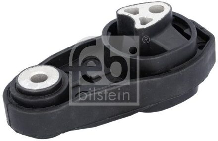 Ford Aslichaam-/motorsteunlager 1003873