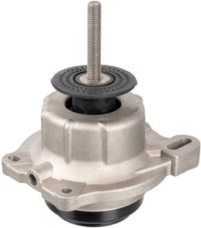 Ford Aslichaam-/motorsteunlager 171310