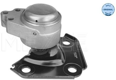 Ford Aslichaam-/motorsteunlager 7140300010